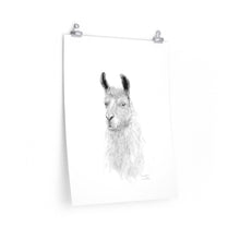 GRAYSON Llama- Art Paper Print