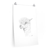 TIMOTHY Llama- Art Paper Print