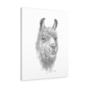 KAYLEE Llama - Art Canvas