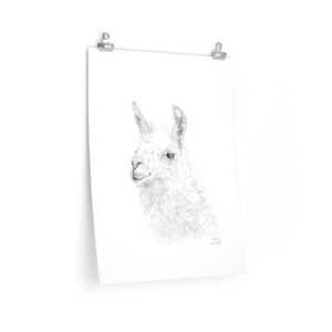 KEVIN Llama- Art Paper Print