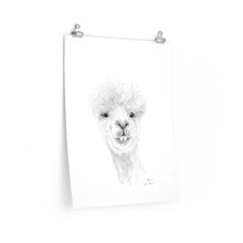 SHAN Llama- Art Paper Print