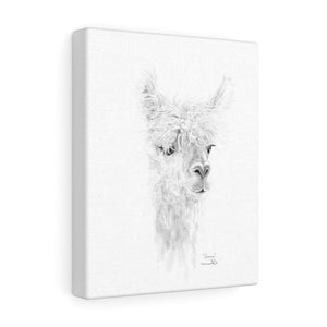 GRACE Llama - Art Canvas