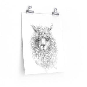 EDDIE Llama- Art Paper Print