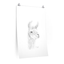 SAVANNAH Llama- Art Paper Print