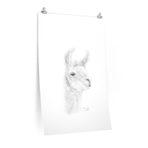 SAVANNAH Llama- Art Paper Print