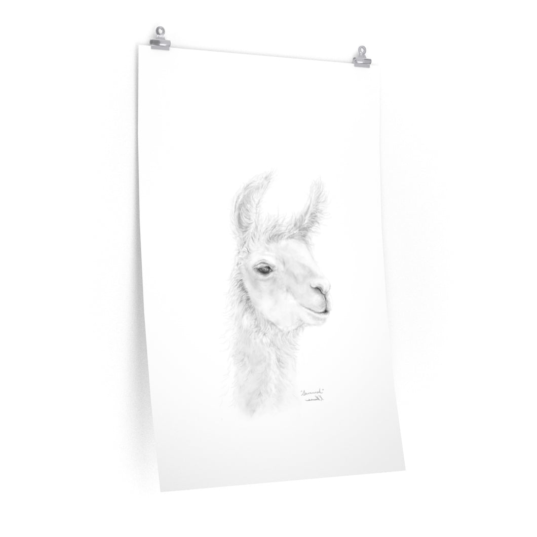 SAVANNAH Llama- Art Paper Print