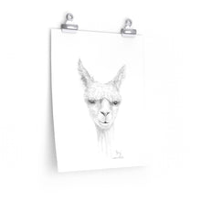 JOEY Llama- Art Paper Print