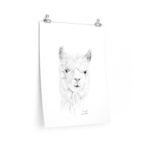PRESCOTT Llama- Art Paper Print