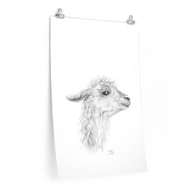 MENGKHA Llama- Art Paper Print