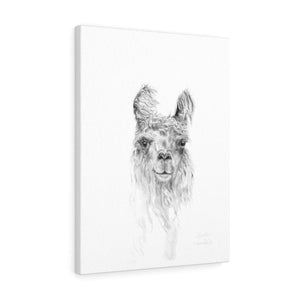 KRISTEN Llama - Art Canvas