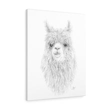 MARY Llama - Art Canvas