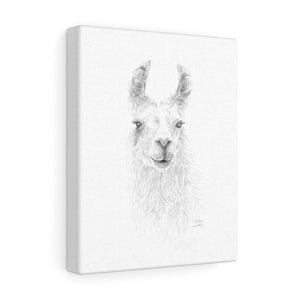 KAHLIE Llama - Art Canvas