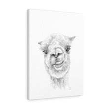 Myka Llama - Art Canvas