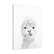 MILTON Llama - Art Canvas