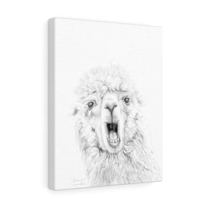 BRENNAN Llama - Art Canvas