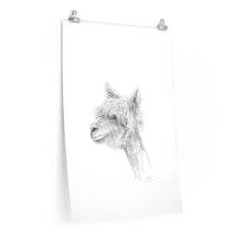 SELAH Llama- Art Paper Print