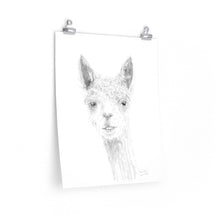 BRANDON Llama- Art Paper Print