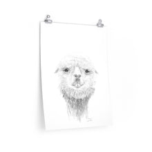 DREW Llama- Art Paper Print