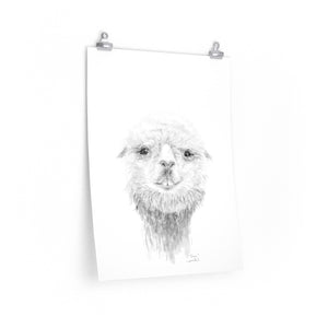 DREW Llama- Art Paper Print