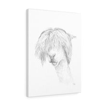 HARRISON Llama- Art Canvas