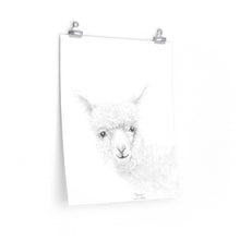 GEMMA Llama- Art Paper Print