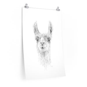 JAMESON Llama- Art Paper Print