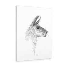 YVONNE Llama - Art Canvas