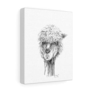 MICHAEL Llama - Art Canvas
