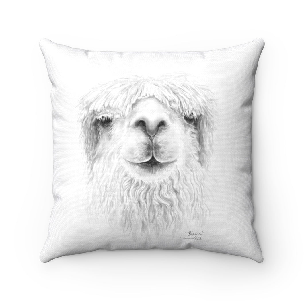Llama Pillow - BLAIN