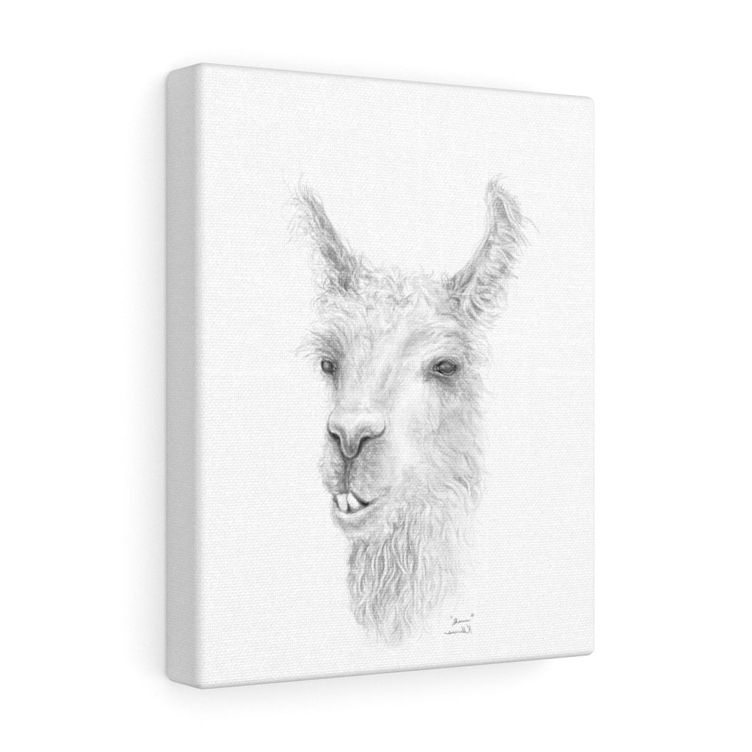 SHAUN Llama - Art Canvas