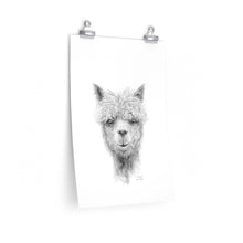 DANIEL Llama- Art Paper Print