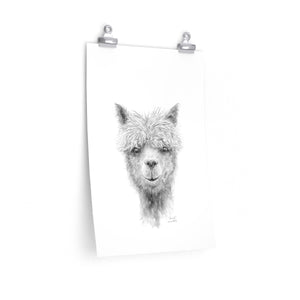 DANIEL Llama- Art Paper Print