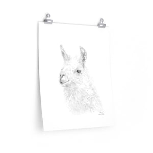 KEVIN Llama- Art Paper Print