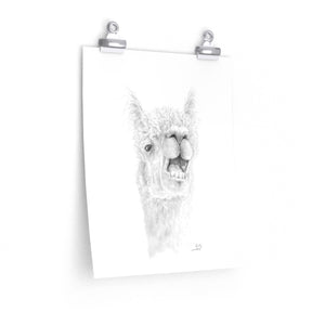 LANTY Llama- Art Paper Print
