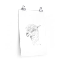 TIMOTHY Llama- Art Paper Print