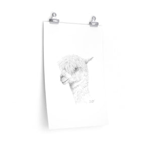 TIMOTHY Llama- Art Paper Print