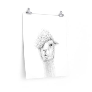 KEN Llama- Art Paper Print