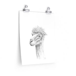 WILL Llama- Art Paper Print