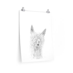 REGINA Llama- Art Paper Print