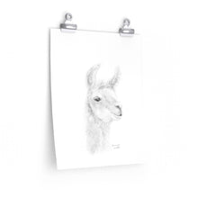 SAVANNAH Llama- Art Paper Print