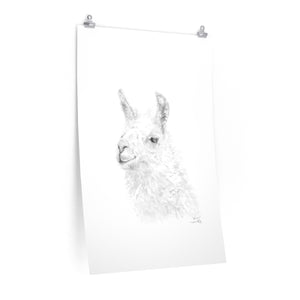 KEVIN Llama- Art Paper Print