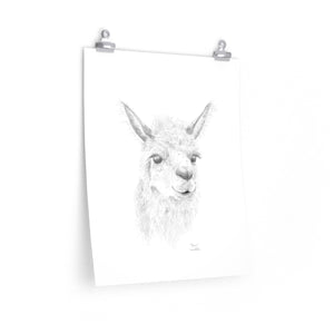 Dawn Llama- Art Paper Print