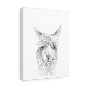 GAELLE Llama - Art Canvas