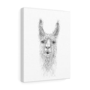 Nikki Llama - Art Canvas
