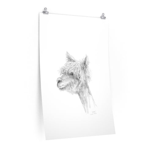 SELAH Llama- Art Paper Print