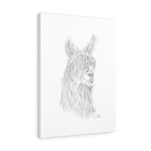 AMBER Llama - Art Canvas