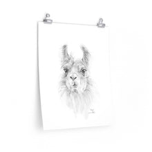 ALLYN Llama- Art Paper Print