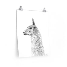 CASSIE Llama- Art Paper Print