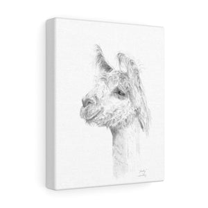 ANDY Llama - Art Canvas
