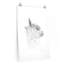 NAOMI Llama- Art Paper Print